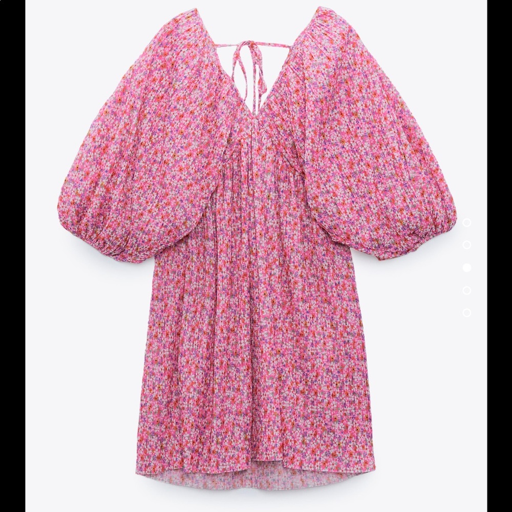 Zara Pleated Printed Dress